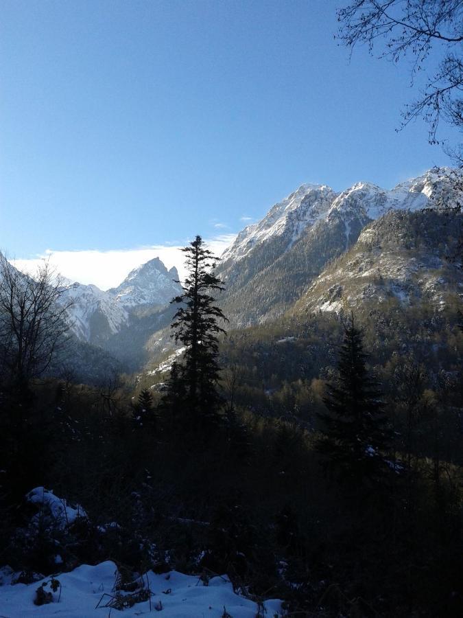 Location Mirande 2 Chambres 4 Couchages 9 Rue De Soupon Laruns Eksteriør bilde